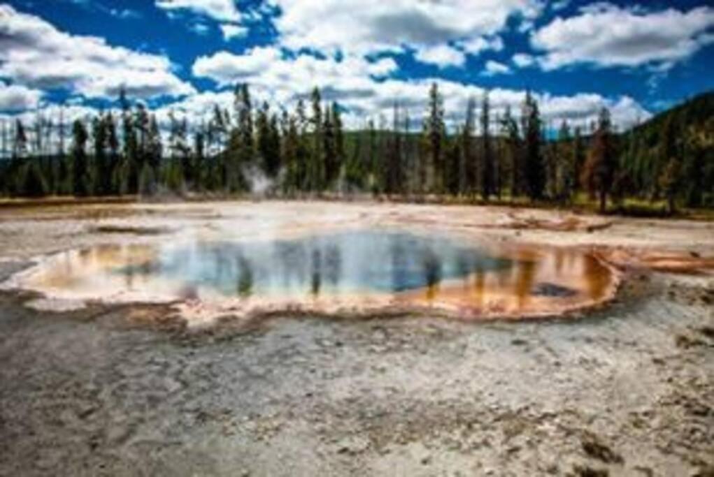White Owl Retreat Yellowstone Grand Teton Island Park Extérieur photo