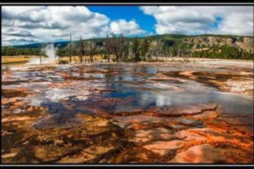 White Owl Retreat Yellowstone Grand Teton Island Park Extérieur photo